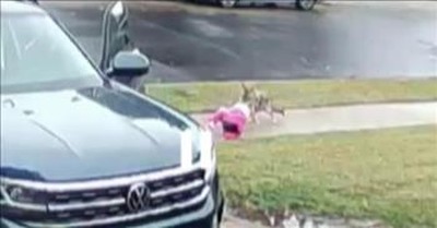 Devoted Dad Narrowly Saves Daughter from Coyote 