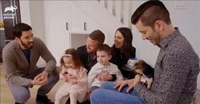 Property Brothers Find Abandoned Pup A Furever Home 