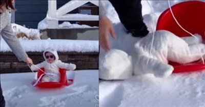 Baby’s Adorable Fail at First Sledding Attempt 