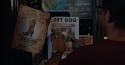 ‘Dog Gone’ Netflix Movie Trailer