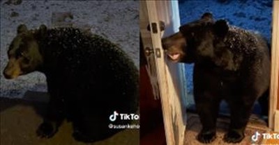 Incredible Moment Wild Bear Closes A Door 