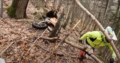 Quick-Thinking Bike Rider Scares Off Charging Bear 