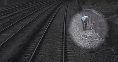 Rail Workers Are Heroes After Saving Toddler That Wandered On The Tracks 