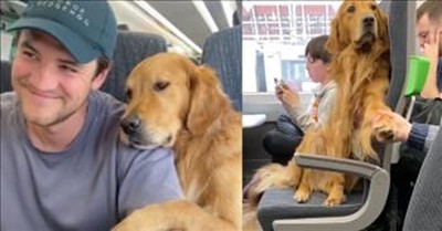 Dog Cuddles With Strangers On Train And It’s Heartwarming 
