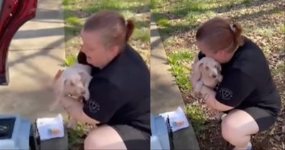 Missing For 3 Years, Dog Shares Heartwarming Reunion With Owner