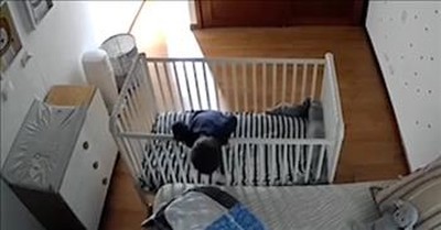 Camera Catches Toddler’s Hilarious Escape From Crib 