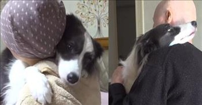 Dog Is Overcome With Joy When Owner Comes Home From The Hospital After Months Away 