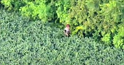 Amazing Moment Helicopter Crew Finds Missing 3-Year-Old In Field 