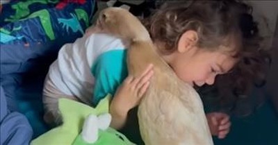 Little Girl And Rescue Duck Become Best Friends 