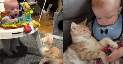 Cat And Baby Act Like Twins 