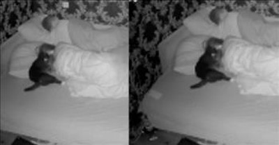 Owner Sets Up Camera To Capture Cat’s Antics During The Night 