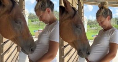 Intuitive Horse Reacts To Woman’s Pregnancy 