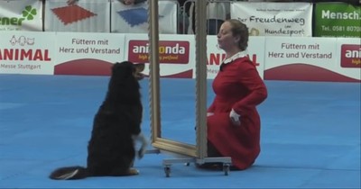 Dog and Human Mimic Each Other In Mirror During Mesmerizing Dance Routine