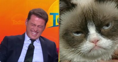 Anchor Laughs Uncontrollably During Interview: ‘Look At That Cat!’