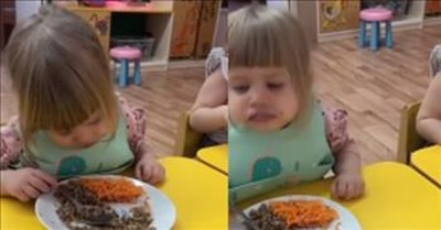 Adorable Little Girl Has Trouble Staying Awake During Meal 