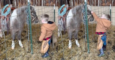 Little Boy Has The Sweetest Interaction With A Pony