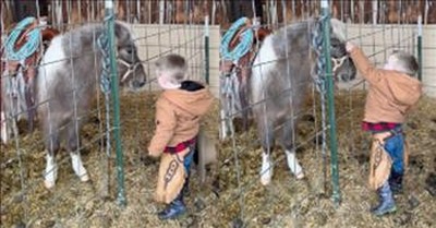 Little Boy Has The Sweetest Interaction With A Pony 