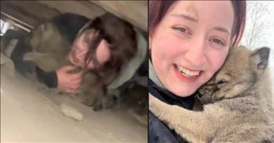 Adorable Puppies Rescued After Seeking Shelter Under Crawl Space From Wintry Weather 