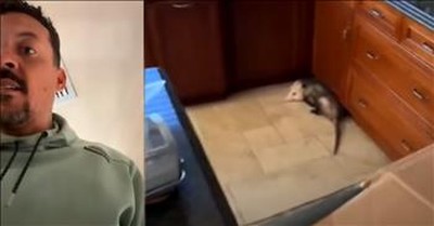 Former NBA Player's Comical Confrontation With Kitchen-Invading Possum 