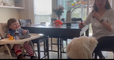 Baby's Uncontrollable Laughter At Dog's Bubble Antics