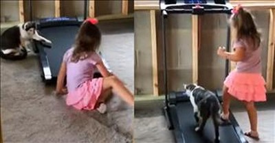 Curious Cat Gives Treadmill A Try After Watching Little Girl 