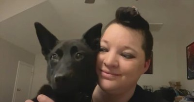 Sweet Pup Whose Abandonment Was Caught On Camera Finds Loving New Home