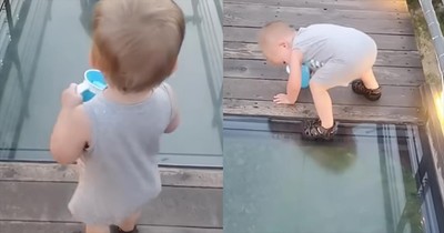 Toddler’s Hilarious and Priceless Reaction to Glass Bridge