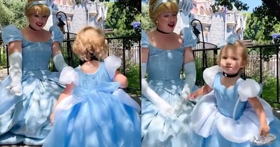 Little Girl Accidentally Reenacts The Cinderella Story While Meeting the Princess
