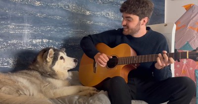 Man Serenades Sweet Pup with Beloved 'Toy Story' Tune