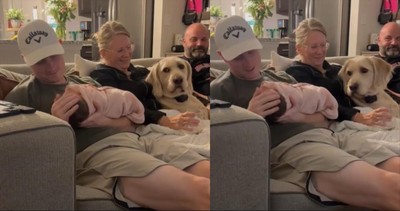 This Dog Can’t Handle Sharing Attention with a Baby—And It’s Absolutely Hilarious