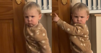 2-Year-Old’s Clear and Hilarious Demand for His Uncle