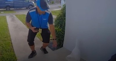 Cat’s Sweet Friendships with Delivery Men Will Melt Your Heart