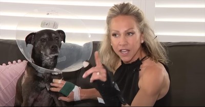 Fearless Woman Battles Alligator to Save Her Dog From Its Jaws