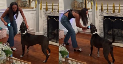 This Singing Pup Nails Its Karaoke Moment Like a Pro