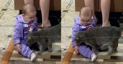 Cat Steps In and Comforts Upset Child