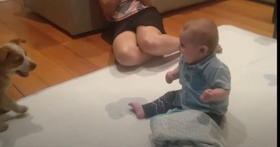 This Baby’s First Encounter with a Puppy Is the Sweetest Thing You’ll See Today