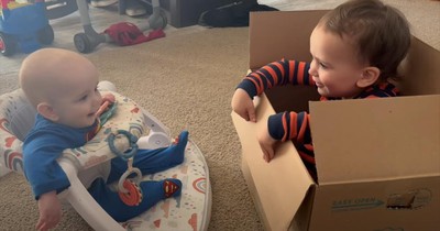 These Two Little Guys Playing Peekaboo Will Make Your Day