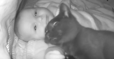This Cat-Baby Duo Might Be the Cutest Pair You’ve Ever Seen