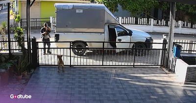 Delivery Driver Shares Adorable Moment with Friendly Pup