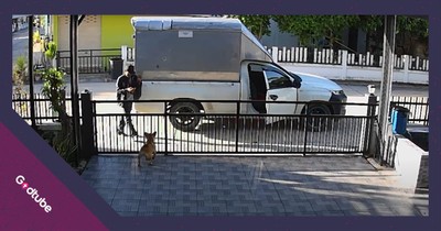 Delivery Driver Shares Adorable Moment with Friendly Pup
