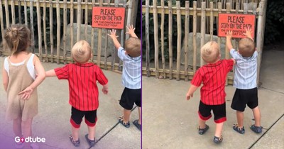 Little Boy’s Sweet Act to Shield His Siblings Melts Hearts