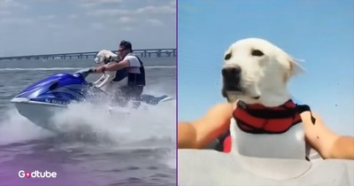 Adventurous Pup Can’t Get Enough of The Jet Ski