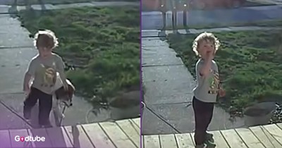 Sweet Young Man Brings Neighbor’s Pup Home After It Gets Loose