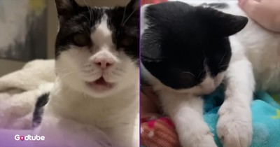 Family Welcomes Cat Whose Purr Is Unlike Anything You’ve Heard