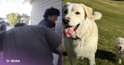 Brave Neighbors Rush In to Save Dogs from Burning House