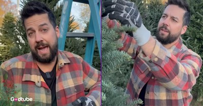John Crist Has Strict Rules for Who Gets a Christmas Tree — and It's Hilarious