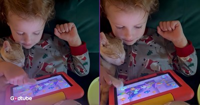 This Precious Moment Between a Little Boy and His Cat Will Warm Your Heart