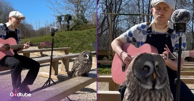 Owl Adores Stunning ‘Over The Rainbow' Rendition