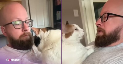 This Cat’s Adorable Morning Routine Will Make Your Day