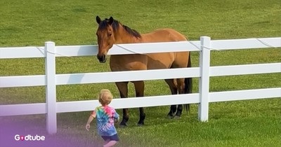 Toddler and Horse Share the Sweetest Moment 